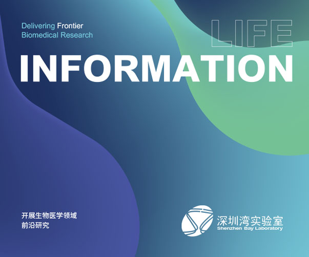 護發素logo設計