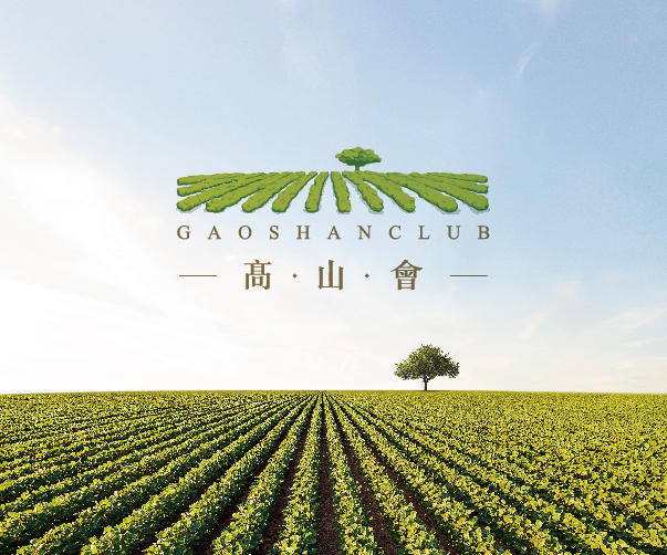 山西出色的VI設計案例_讓品牌更出眾